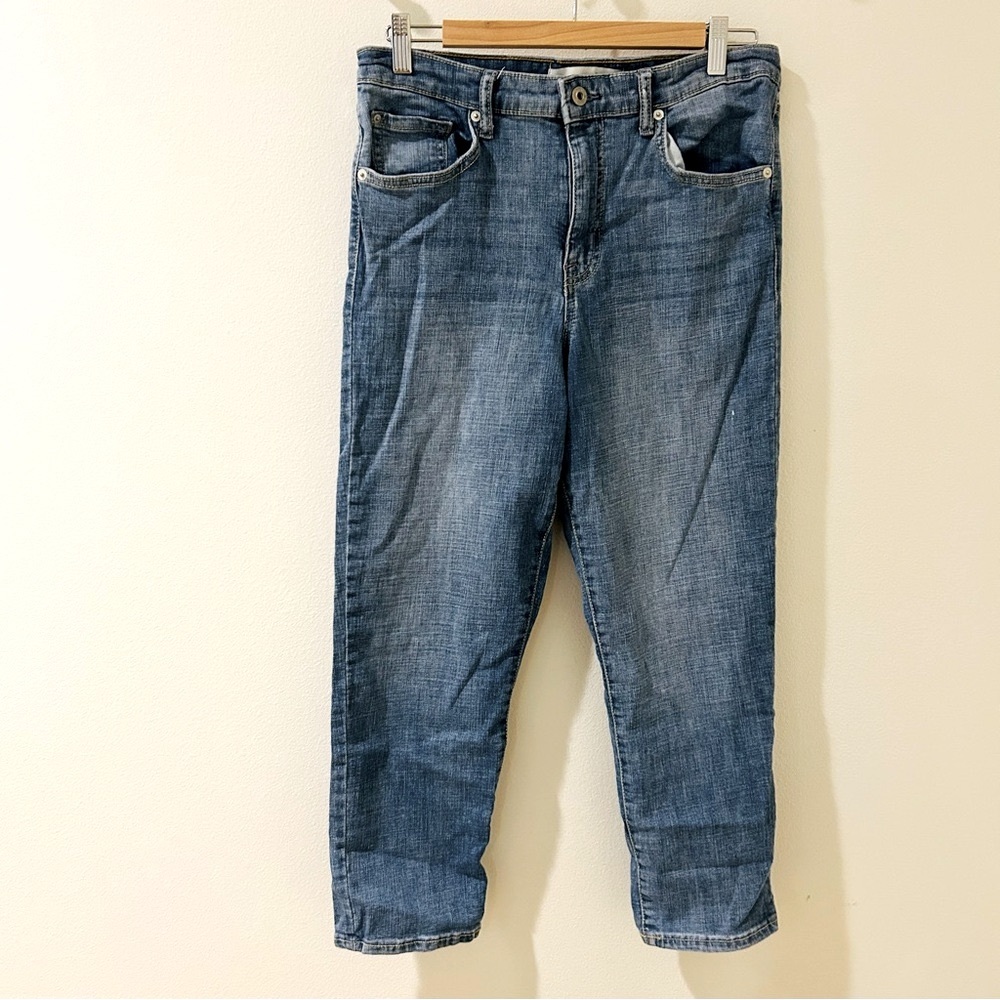 Ella Moss high waisted straight cropped jeans sz 10